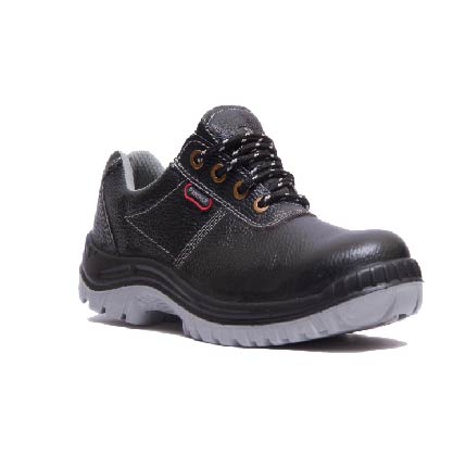 Fixed Lifeline Systems