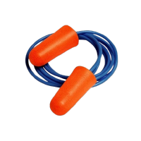 Fall Protection Training and Audits